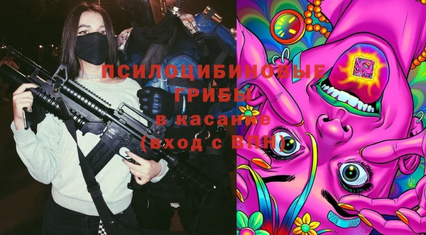 дмт Покачи