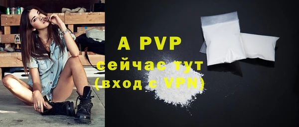 дмт Покачи