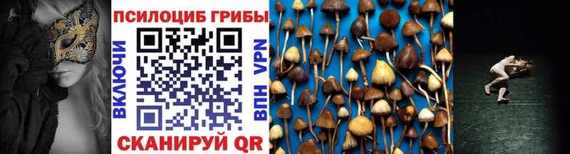 купить наркоту Фурманов Галлюциногенные грибы Psilocybine cubensis